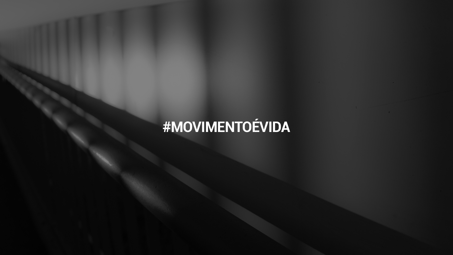 movimentoevida1